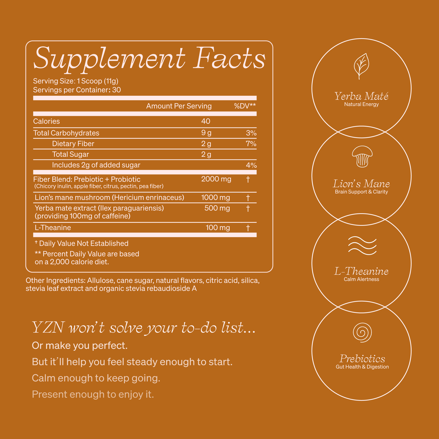 YZN - Matcha Yerba Blend